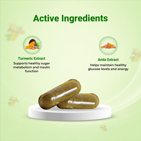 GlucoFit Xpress