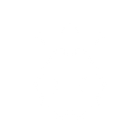 Memory Enhancer