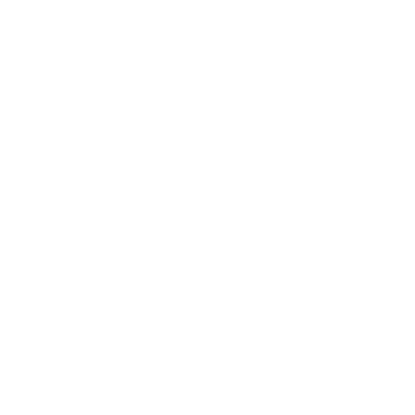 Memory Support