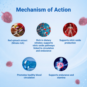 PerformX Activ