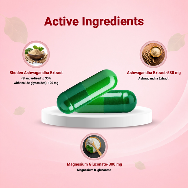 Relax Pro Activ